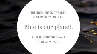 2017 Ocean Awareness Student Contest