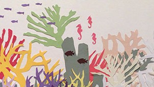 2018 Ocean Awareness Student Contest  