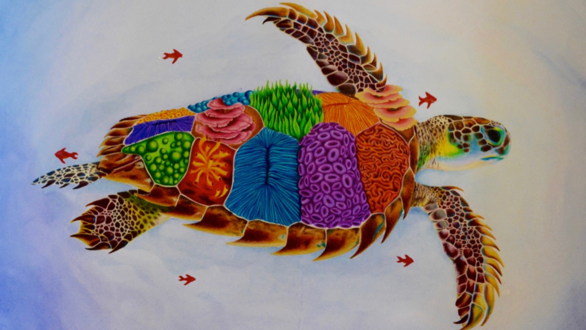 2018 Science Without Borders: Why Coral Reefs Matter