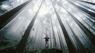 2019 Sony World Photography Awards 