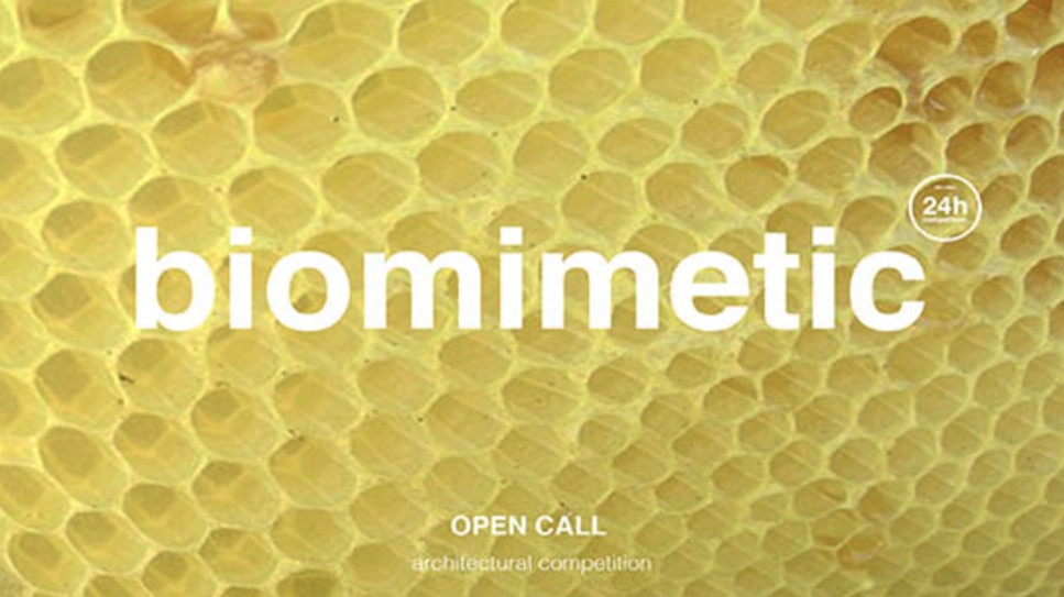 24H 20th edition: Biomimetic