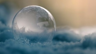  Macro Photography VIPA 2017