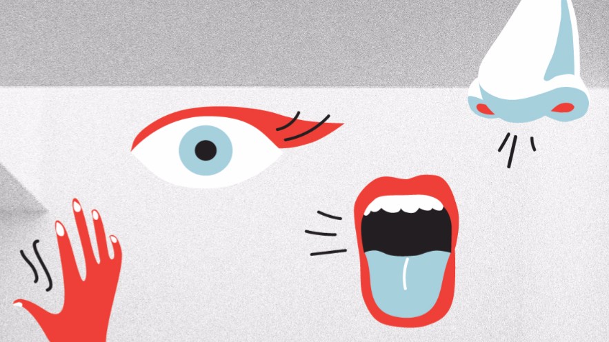 CLUE - Light And The Senses - edition 04