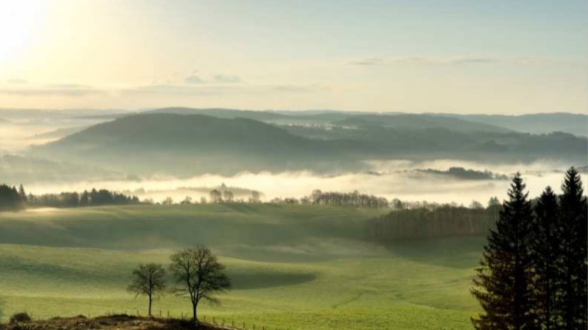 Conception d’aires de Bivouac écologique