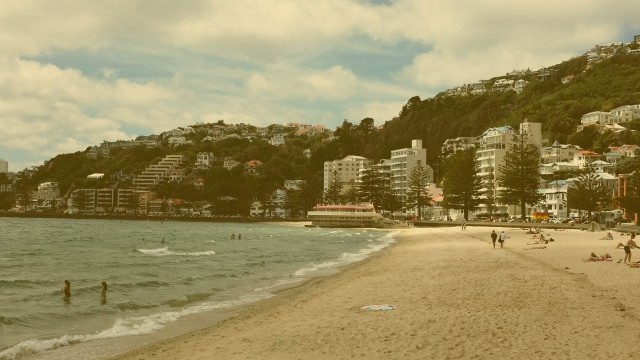 Creative Exhibition Center in Wellington