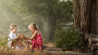 Family Photography VIPA 2017