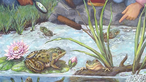 NAVS' Art For Animals Contest 2018