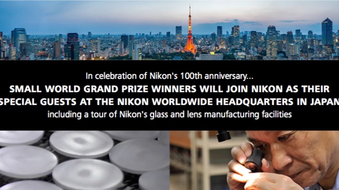 Nikon Small World in Motion Contest 