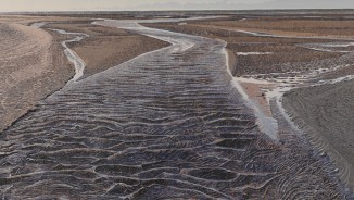 Prix de gravure Mario Avati - Académie des beaux-arts 2023