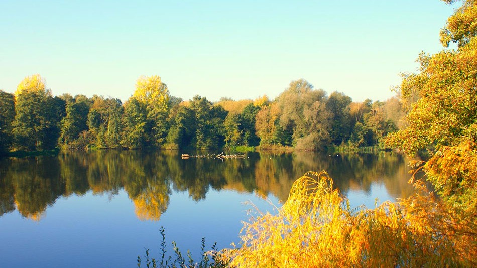Sevenoaks Nature  & Wellbeing Centre