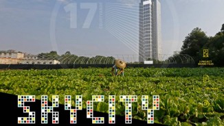 Skycity Challenge 17