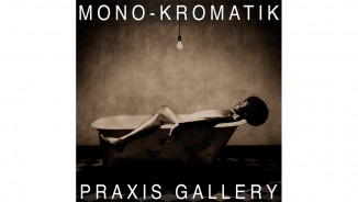 THEME | MONO - KROMATIK