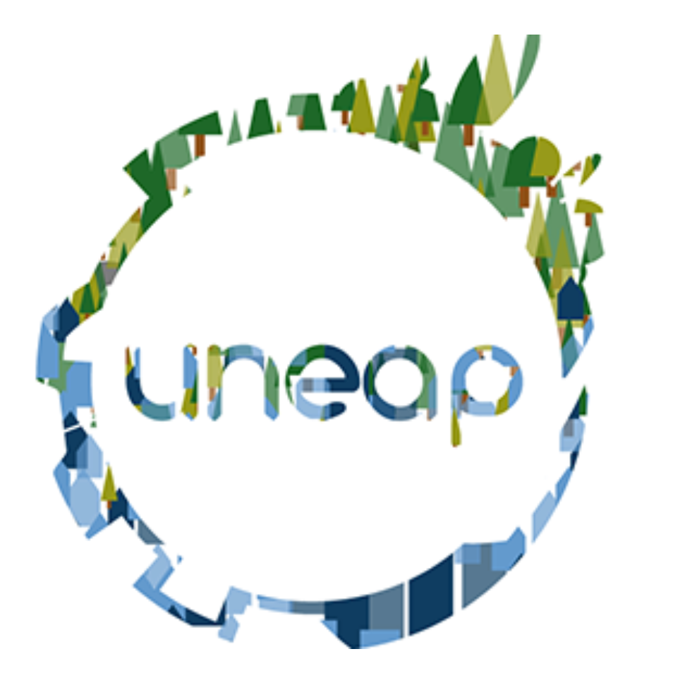 UNEAP